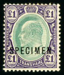 Stamp of South Africa » Transvaal » 1905-09 Watermark Multiple Crown CA Monocolours » Issued Stamps 1/-, (2), 5/-, £1 and £5 each overprinted "SPECIMEN"