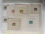 Stamp of Argentina 1889-91, "Sudamericana" Issue, an extraordinary assembly comprising 340+ die proofs and 600 essays