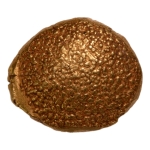 Stamp of Coins » Hindu coins of medieval India Madras Presidency, 1740-1807, Vishnu, AV pagoda, 3.44 g.