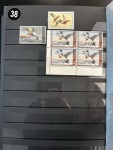 Stamp of United States » Collections 1873-1940 extensive mint accumulation in large stockbook