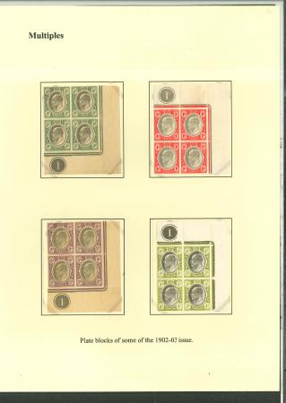 Stamp of South Africa » Transvaal » 1902-03 Watermark Crown CA » Issued Stamps  1902-03 Watermark Crown CA plate block group