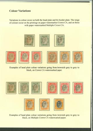 Stamp of South Africa » Transvaal » 1902-03 Watermark Crown CA » Issued Stamps  1902-03 Watermark Crown CA mint selection of shades
