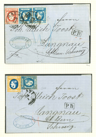 Stamp of Romania » King Carol 1869 - "Without Beard" Imperforate 5b to 50b, attractive specialised assembly neatly mounted