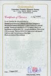 Stamp of Colombia » Airmails 1920, March 11. Cover (opened for display) from Cartagena