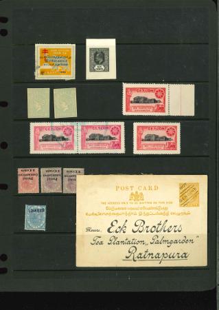 Stamp of Ceylon » Collections 1890, Small group of forgeries, Tamil Revolutionary cinderellas, etc., on two stockpages