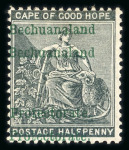 Stamp of Bechuanaland » British Bechuanaland 1888 1/2d grey and black mint showing double overprint variety