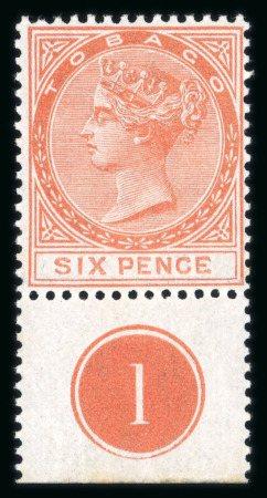 Stamp of Trinidad and Tobago » Tobago 1858-91 collection neatly written up and presented on pages