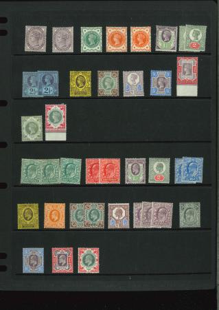 Stamp of Great Britain » Collections 1887-1910 mint collection on stock pages of the Jubilee issue and KEVII DLR issue
