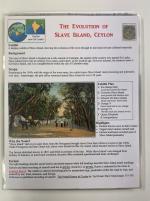 Stamp of Ceylon » Collections 1829-1950s Slave Island 5-frame exhibit collection