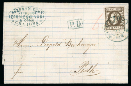 Stamp of Romania » King Carol 1871 - "With Beard" Imperforate 25 bani brown (transfer type 3), a large margins e