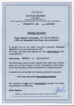 Stamp of Germany » Plebiscite Areas » Upper Silesia 1920, Germania 10pfg red stationery card pay reply