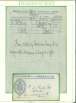 Stamp of Ireland » Parcel Post & Locals 1860–1981 Telegraph Stamps, Telegram Envelopes & Messages: An attractive and specialised collection, neatly mounted and knowledgeably written up across twenty-six (26) album pages, with a further ring binder containing o