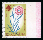 Stamp of Romania » Later Issues 1961 Botanical Garden, 20b flower stamp imperf at right error, 