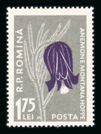 Stamp of Romania » Later Issues 1957 Carpathian Flora errors, 1.55L & 1.75L flower stamps with constant flaw "M" (initial of the designer