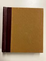 Stamp of Turkey » Collections A truly astounding collection of Turkey in five large albums, comprising stamps 1863-2000s