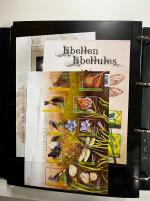 Stamp of Belgium » Collections 1849-2017, in three large stockbooks nice mint and
