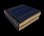 Stamp of Large Lots and Collections Europe : 1850-1950, in two big Schaukek albums, European