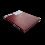Stamp of United States » Collections 1857-1920s, early collection in album with some better