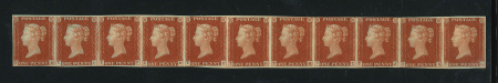 1841 1d Red-Brown, Plate 56 (TB–TL). A horizontal strip of eleven, very fresh mint, with two stamps unmounted mint. Good margins all round and large part original gum, though with some heavier hinge remainders along the 