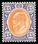 Stamp of South Africa » Transvaal » 1902-03 Watermark Crown CA » Issued Stamps  1902-03 mint selection on two Hagner pages incl. £5 mint