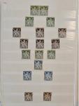 Stamp of Belgium » Collections 1849-1980, in five stockbooks hundreds of mint and unused stamps