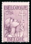 Stamp of Belgium » Collections 1863-1948, in a Davo album nice and extensive collection