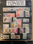 Stamp of Large Lots and Collections All World : 1855-1965, in a box very interesting item