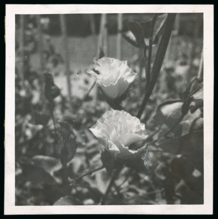 Stamp of Egypt » Commemoratives Photographic essay (100 x 100mm), very fine and rare