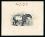 Stamp of North Borneo 1909-23 group of 10 vignette die proofs in black on wove paper