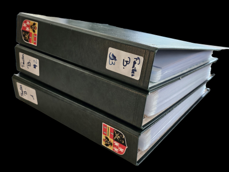 Stamp of Belgium » Collections 2001-2018, in three large stockbooks very nice mint ** MNH collection