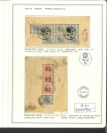 Stamp of Indian States » Jaipur 1904-48 Jaipur collection in pages, well written and