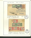 Stamp of Indian States » Jaipur 1904-48 Jaipur collection in pages, well written and