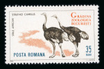Stamp of Romania » Later Issues 1964 Error “without Ostriches & frame” - 'Zoological Garden' stamp