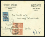 Stamp of Syria » Collections, lots etc. Syrie : 1858-1970, dans deux albums exceptionnelle