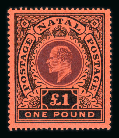Stamp of South Africa » Natal Natal 1908 MCA £1 purple and black on red mint