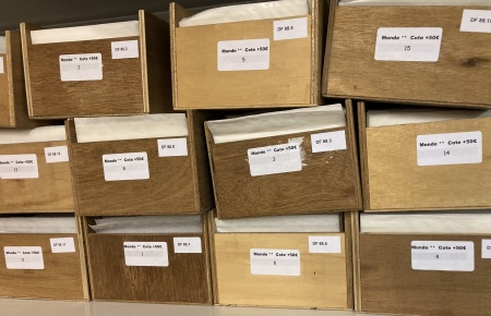 Stamp of Large Lots and Collections All World : 1950-2000, in 16 wooden boxes very nice