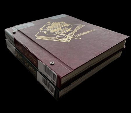 Stamp of Belgium » Collections 1850-1970, in two albums extensive mint and used collection