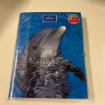 Stamp of France » Collections 1849-2005, dans un carton ensemble de plusieurs centaines