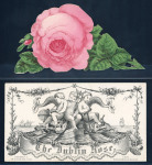 Stamp of Ireland » GB Used In Ireland The Dublin Rose unused decorative printed envelope,