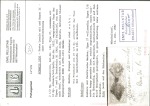 Stamp of Switzerland / Schweiz » Kantonalmarken » Genf 1849, grosser Adler dunkelgrün auf Brief