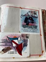 Stamp of France » Collections Alsace-Lorraine : 1870-1980, dans une reliure très