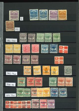 Stamp of Samoa Samoa 1877-1942 mint range on stocksheets