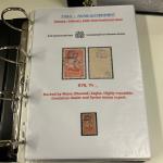 Stamp of Syria » Syria Arabian Goverment Post Offices - 1919-1920 Royaume de Syrie/Syrian Arab Kingdom : 1920, dans deux