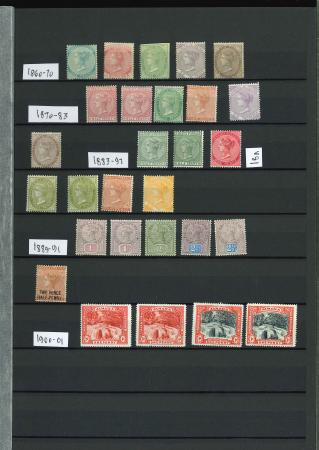 Stamp of Jamaica 1860-1900 small mint group on stock sheet, mostly unused