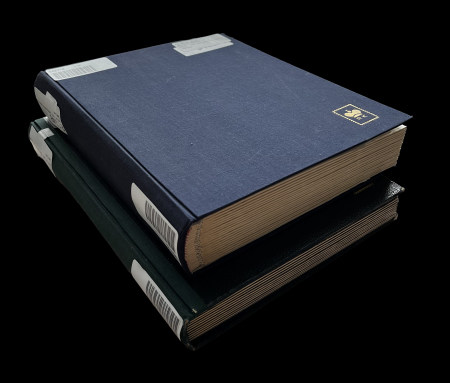 Stamp of Large Lots and Collections » Late Lots Germany German Empire 1872-1944 Duplication in 2 stock-books