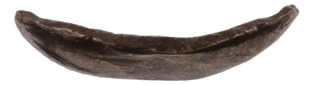 India, Gandhara Janapada, archaic silver punchmarked bent bar, 4 bars.
