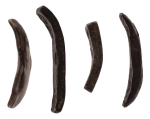India, Gandhara Janapada, archaic silver punchmarked bent bar. 4 bars.