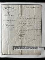 Stamp of Large Lots and Collections Thematics - Animals - Horses: Exhibition collection