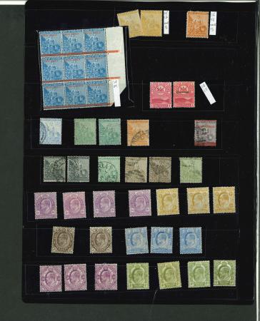 Stamp of South Africa » Cape of Good Hope 1879-1902 range of the later issues on 2 stocksheets