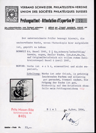 1847, Basler Taube, in der 1. lebhaftblauen Nuance